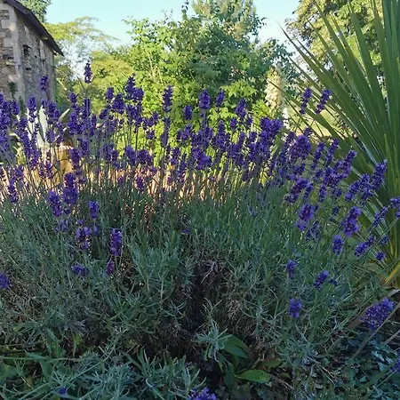 Manoir Vaillant Au Coeur Du Perigord Noir * Monplaisant